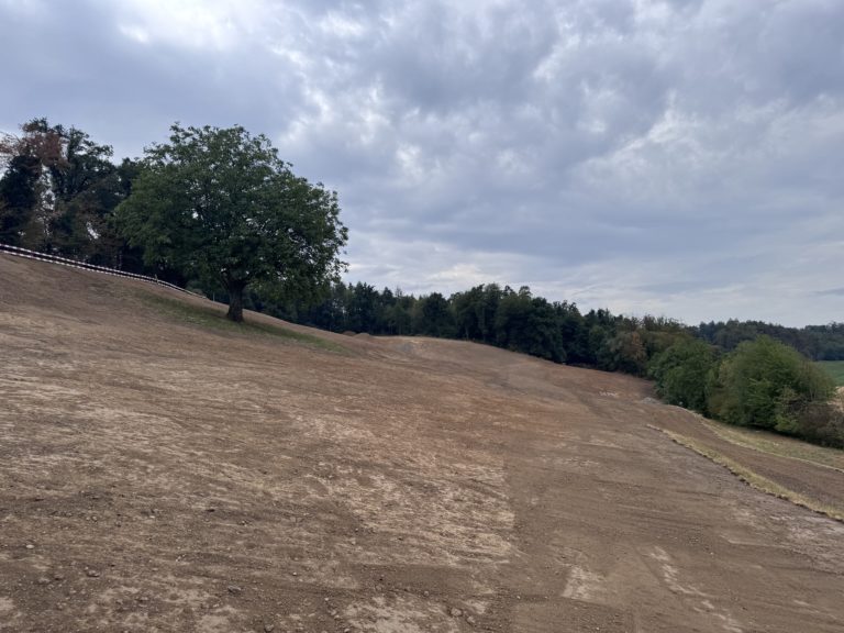 Photo 17.08.2026, 14 22 31